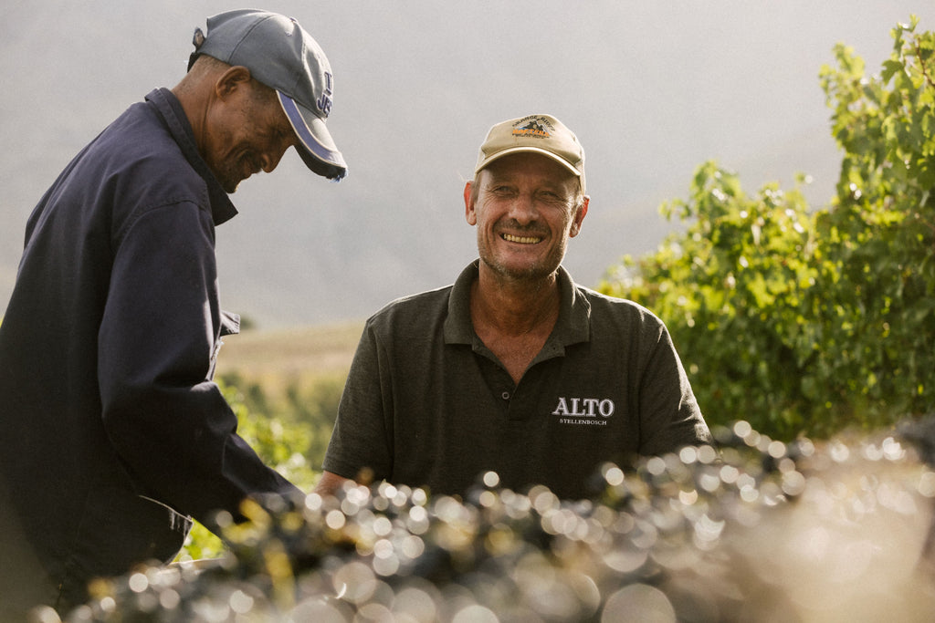 Alto Harvest Report 2024