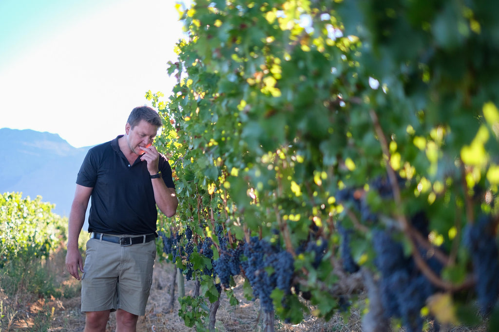 The start of an exceptional Harvest