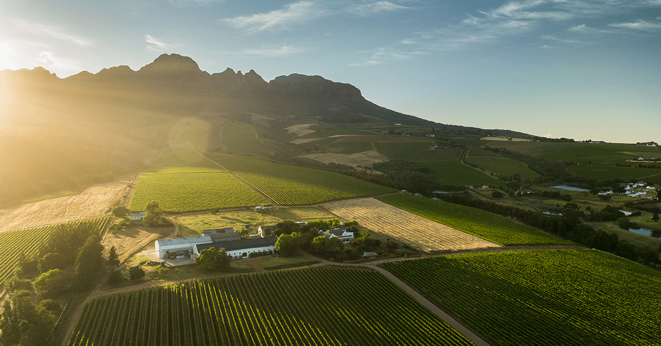 Alto Wine Estate wine estate